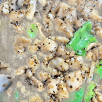 Best Black Pepper Chicken in Las Vegas, NV